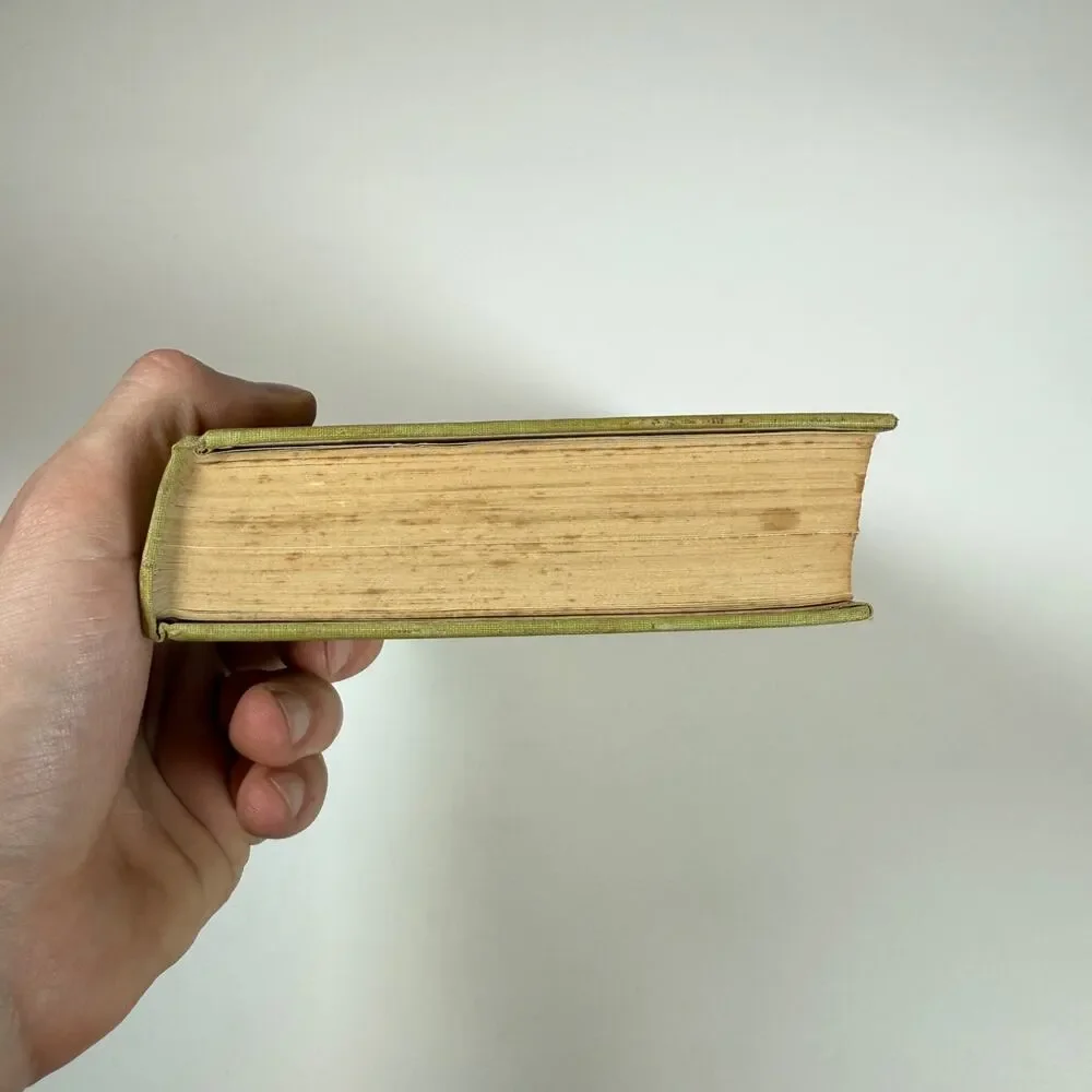 Mavericks By WILLIAM MacLeod Raine 1912 Antique book